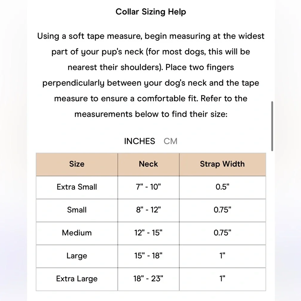 Wild One Dog Collar - XL (18-23